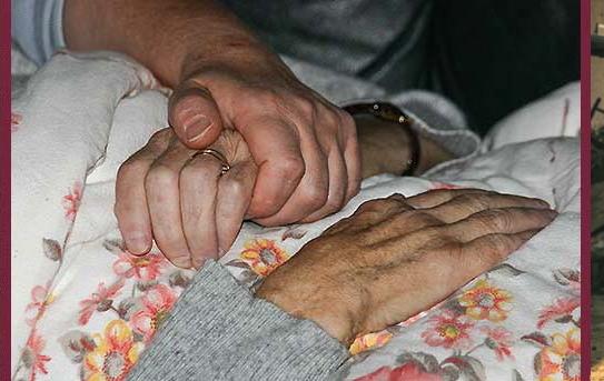 sliderbild---drei-fotos