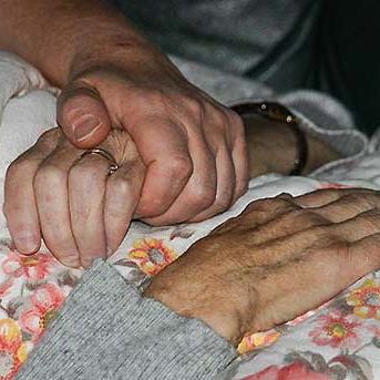 sliderbild---drei-fotos